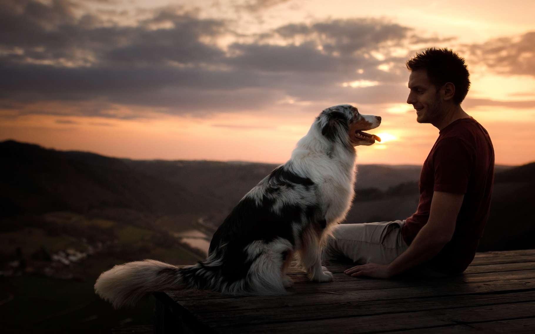 Les chiens rendent-ils vraiment la vie meilleure ? Voici ce que les chercheurs ont découvert