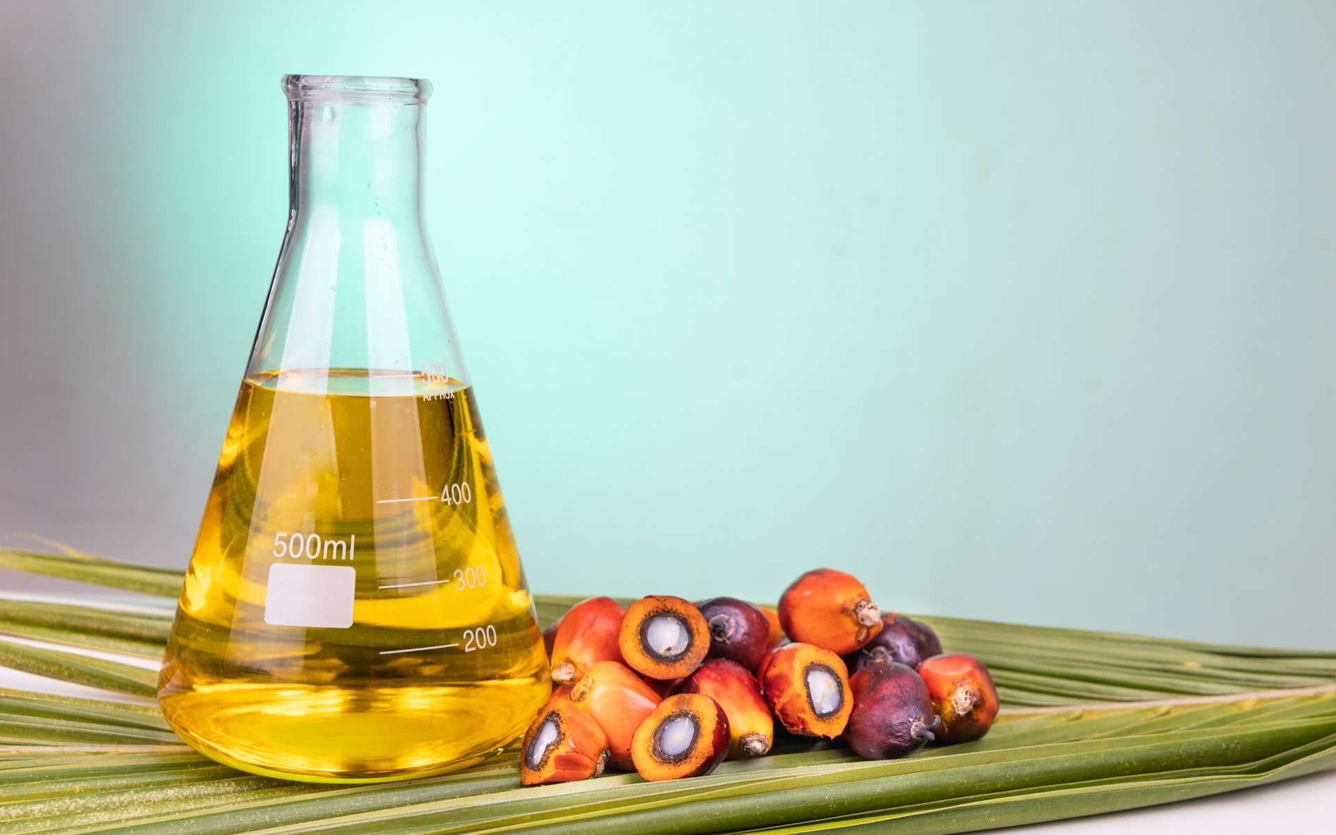 Des chercheurs ont découvert une alternative éthique à l'huile de palme