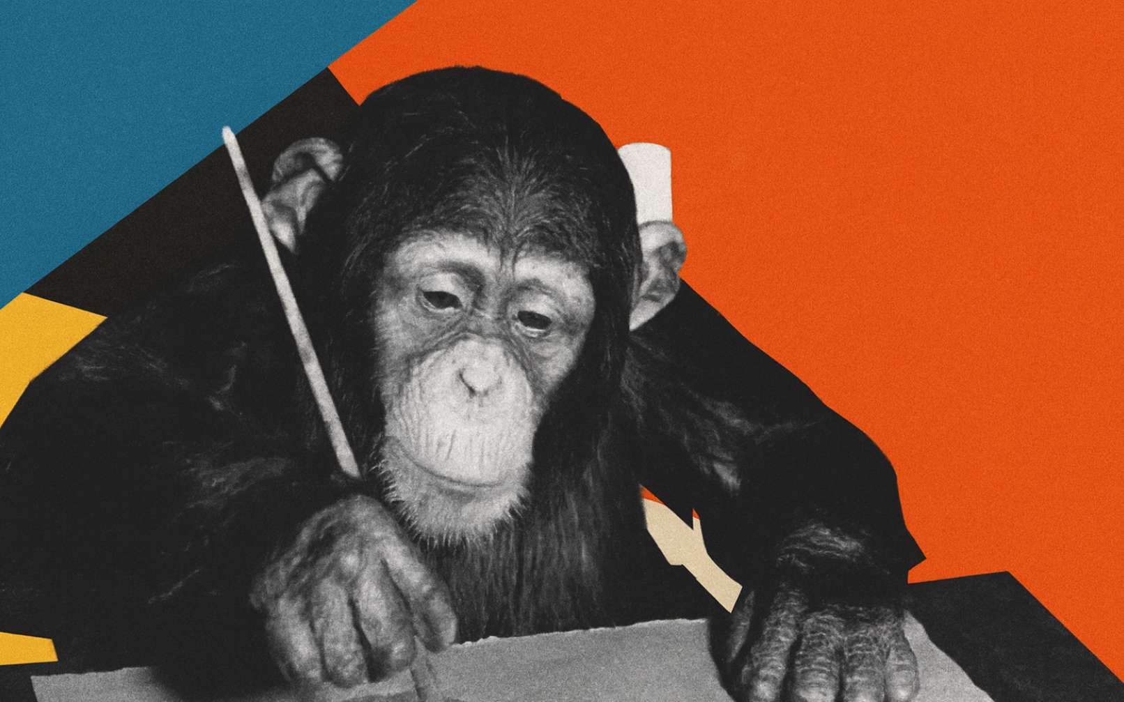 L'incroyable histoire du singe peintre qui a conquis le coeur de Picasso, Miro et Dali