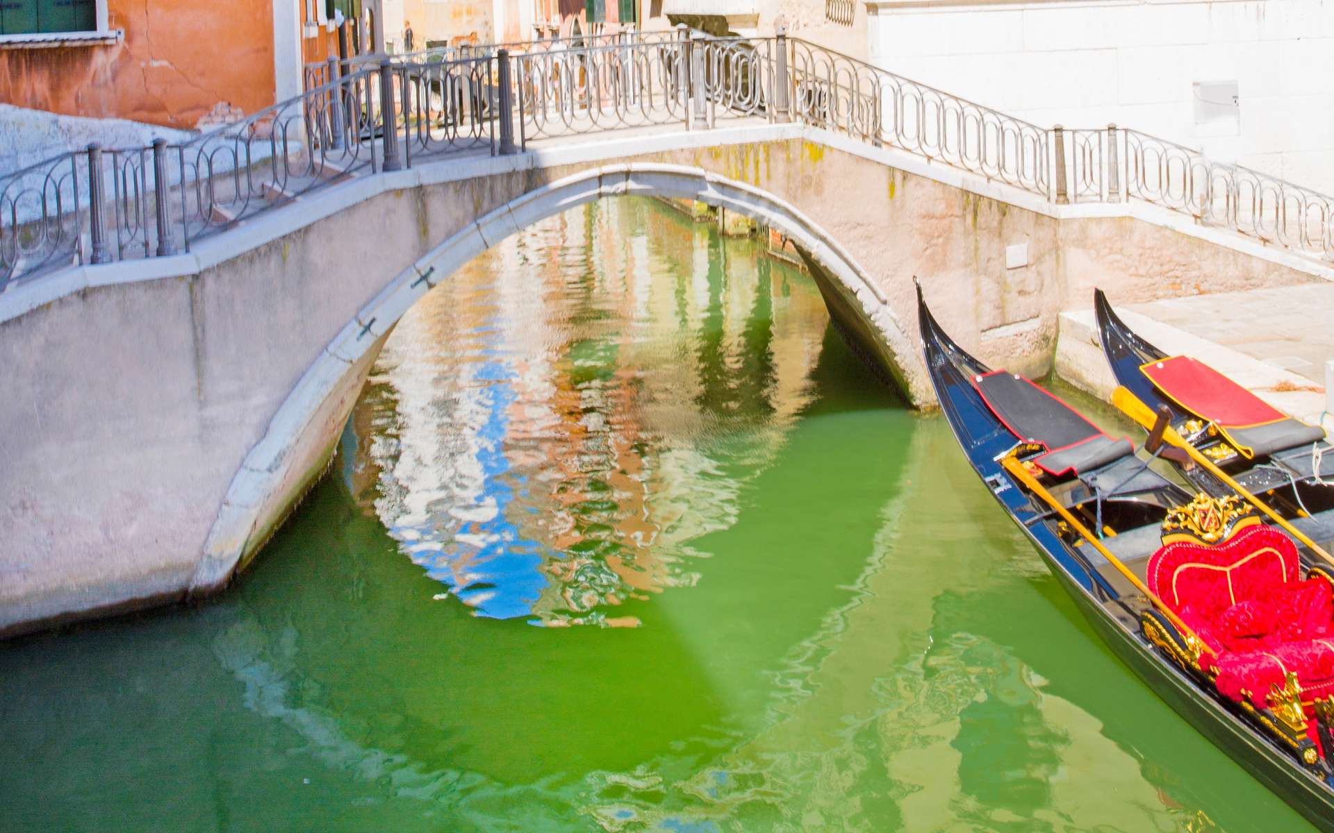 Les canaux de Venise ont viré au vert fluo ! D'où vient cette étrange couleur ?