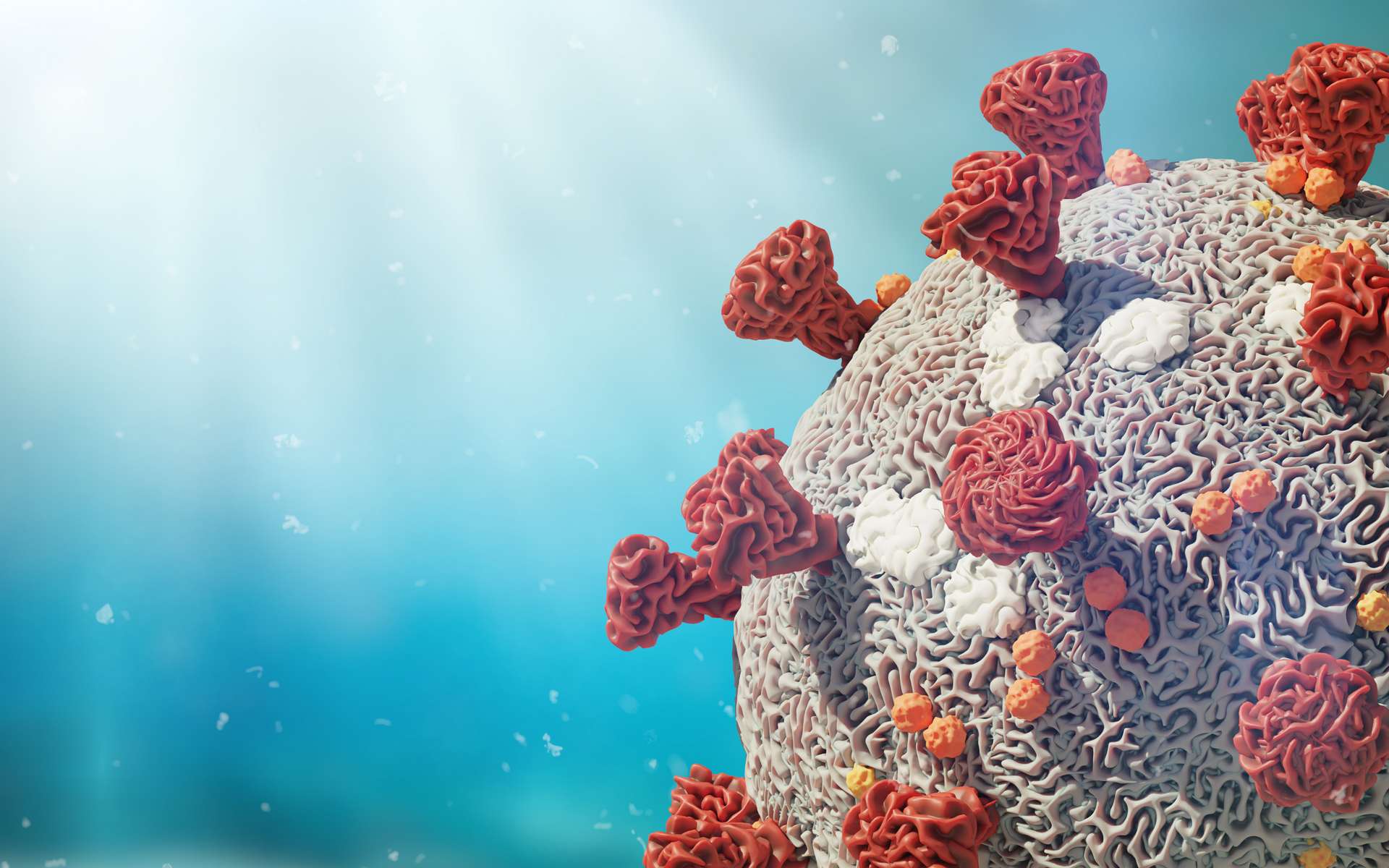 La polymérase virale pourrait être un antigène présent dans les vaccins. © dottedyteti, Adobe Stock