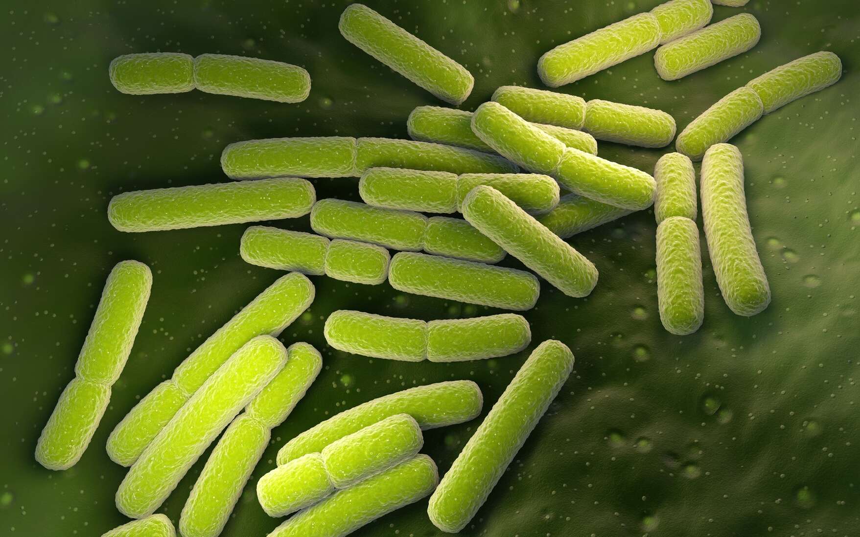 Les bactéries antibiorésistantes montent en puissance pendant la pandémie