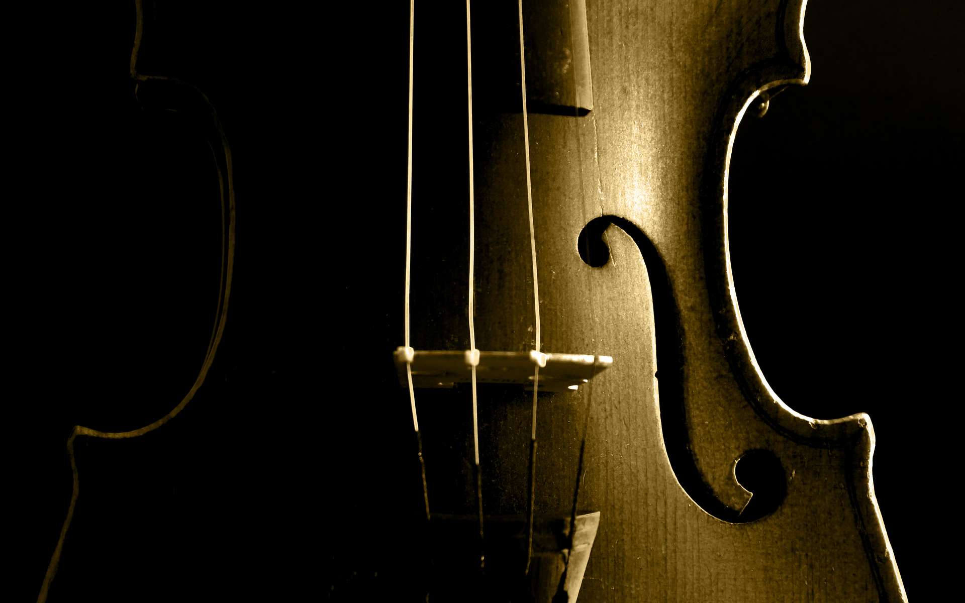 Le son inégalé du Stradivarius serait dû à des traitements particuliers de son bois. © jupiter8, Adobe Stock