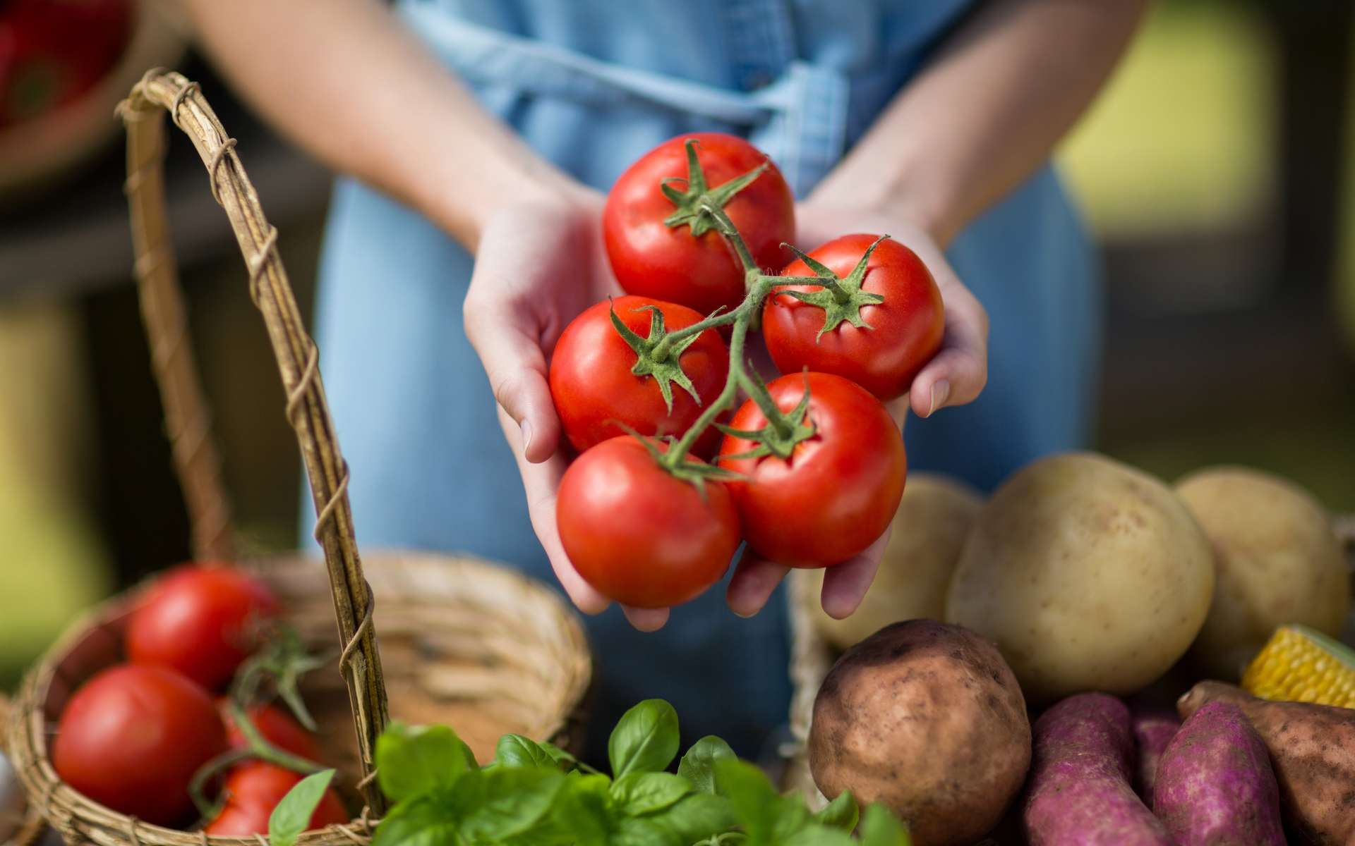 Les tomates et les patates pourraient contenir les futures molécules anti-cancer