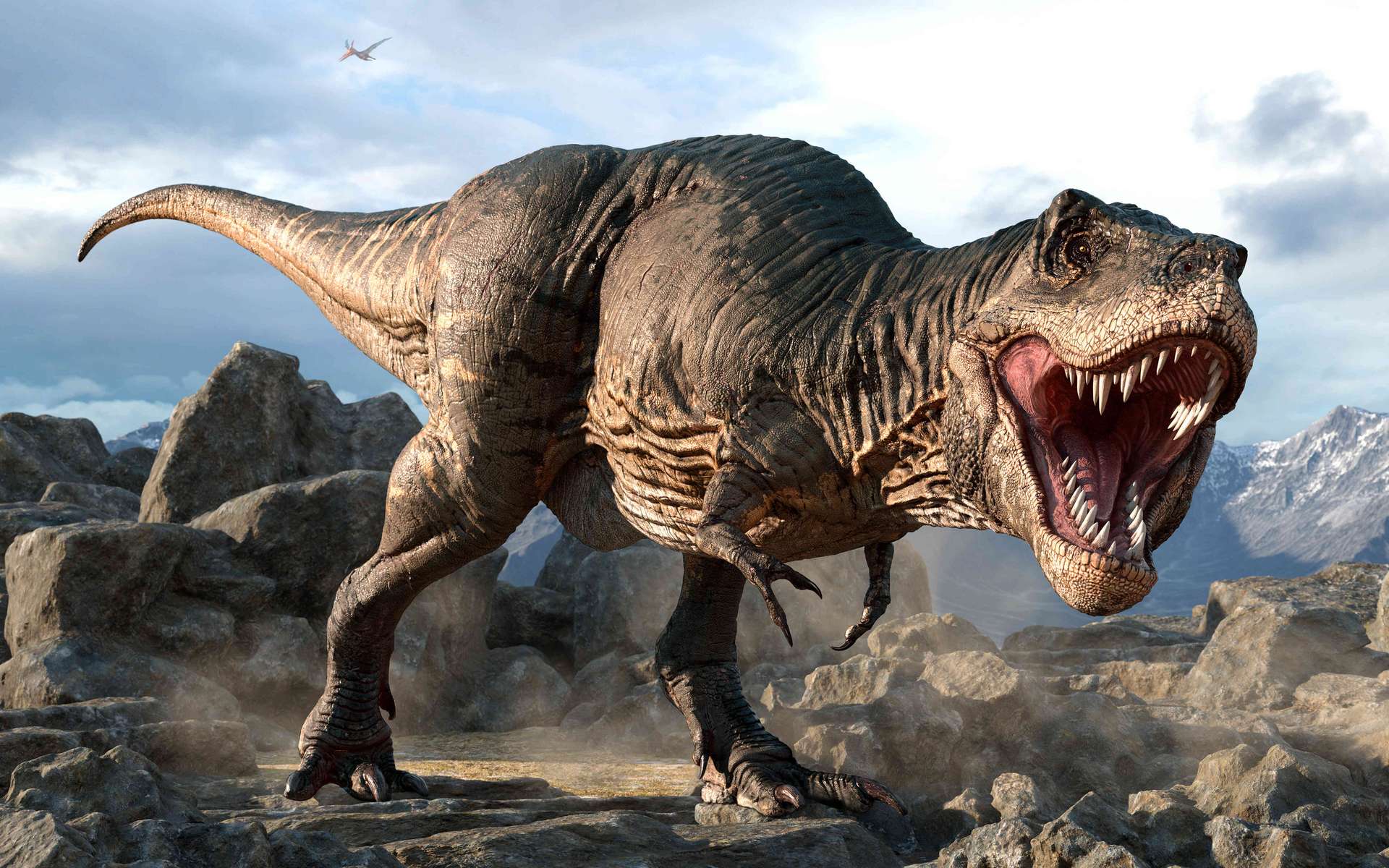 Les dinosaures théropodes tels que ce Tyrannosaurus avaient le sang chaud, une caractéristique qu'ils ont transmise aux oiseaux actuels. © warpaintcobra, Adobe Stock