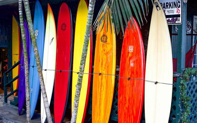 Surf : retour sur son histoire et présentation de l’évolution des planches