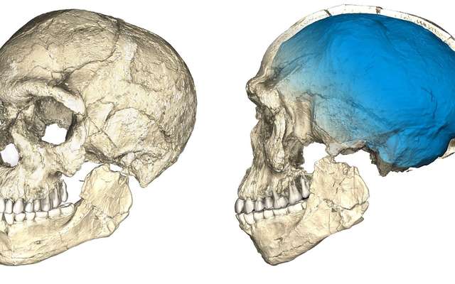 Ce Sont Les Plus Anciennes Traces Connues De La Presence D Homo Sapiens En Europe