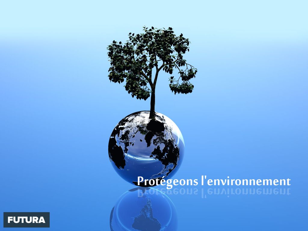 Image du site Futura Sciences