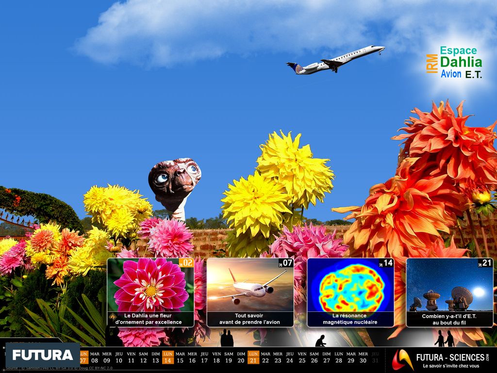 Image du site Futura Sciences