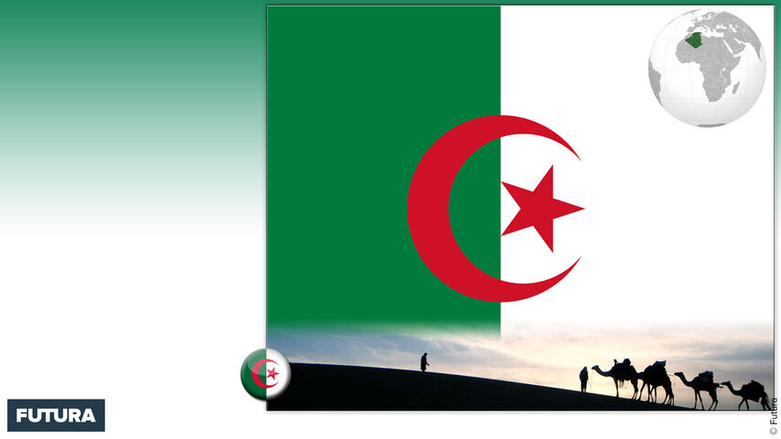 Drapeau : Algérie - Fond d'écran et images gratuites