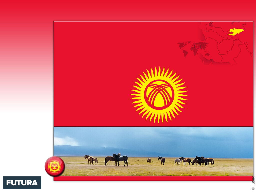 Image du site Futura Sciences