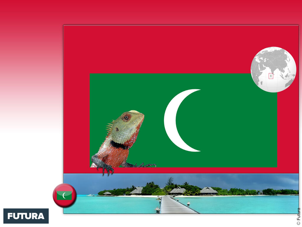 Image du site Futura Sciences