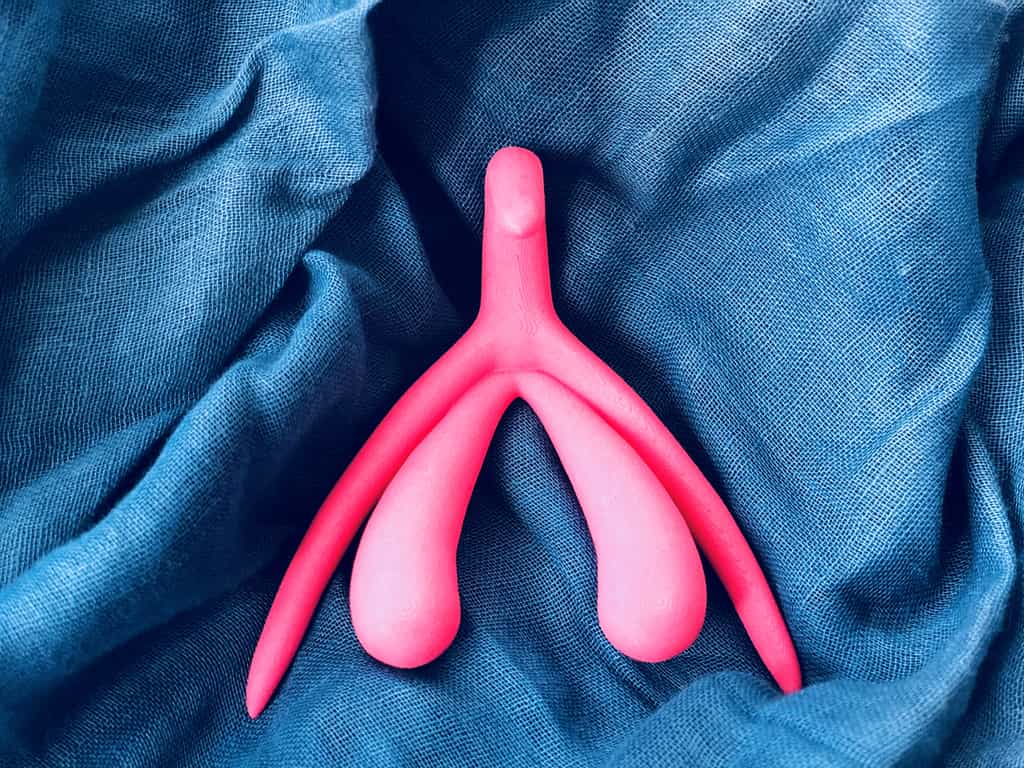 Le clitoris est beaucoup plus sensible qu'on ne le pensait !