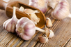 L'ail a de multiples propriétés médicinales, c'est l'ancêtre de l'antibiotique. Il est donc très utile d'en planter dans son potager. © bit24, Fotolia
