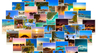 Google permet d’effectuer une recherche à partir d’une image trouvée sur Internet ou enregistrée sur son ordinateur. © , Shutterstock