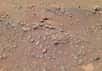 Des structures en silice en forme de choux-fleurs observées par le rover Spirit en 2008 et en 2009 autour du site Home Plate, où il demeure bloqué, pourraient avoir été formées par des microbes, ont suggéré deux chercheurs dans leurs travaux présentés en janvier à l’AGU. La ressemblance avec des « expressions nodulaires » trouvées dans le désert de l’Atacama, où les conditions climatiques et géologiques présentent des traits communs avec Mars, est troublante. Toutefois, pour les scientifiques, la prudence s’impose.