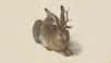 Le jackalope existe-t-il ? © Thomas Grunfeld, Google Arts &amp; Culture