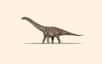 Une nouvelle espèce de titanosaure a été identifiée en Catalogne. Le spécimen découvert présente une taille impressionnante qui surprend à une époque où l'Europe était composée d'une multitude d'îles.