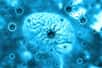 Les chercheurs de l'université de Tufts, aux États-Unis, présentent des résultats récents en accord avec l'hypothèse qui suggère que la maladie d'Alzheimer pourrait être déclenchée par un virus. La souche est question est très fréquente puisqu'il s'agit du virus de la varicelle et du zona (VZV)