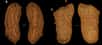 Deux des paires de sandales retrouvées au sud de l'Espagne au cours des années 1860. Vieilles de 6 000 ans, elles étaient probablement utilisées par des chasseurs-cueilleurs vivant dans la région à cette époque. © Francisco Martínez-Sevilla and al., Science Advances