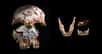 En 2009 et 2010, un crâne et une mandibule étaient découverts par une équipe de recherche internationale. Les ossements se situaient à quelques mètres de distance, dans une grotte du nord-est du Laos. Leur étude révèle aujourd'hui que les premiers Hommes modernes étaient morphologiquement très diversifiés.