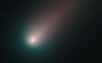 Au lendemain d'un premier sursaut d'activité de la comète Ison, Hubble a photographié sa chevelure de gaz et la queue de poussières qui, depuis, n'a de cesse de s'étendre. Deux autres sursauts ont été observés au cours du mois de novembre par de nombreux astronomes amateurs et professionnels.