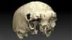 Les restes d'un crâne retrouvés au Portugal et datant de 400.000 ans pourraient appartenir à un ancêtre de l'Homme de Néandertal. Ce fossile est le plus ancien d'hominidé retrouvé dans la péninsule ibérique. Il témoigne d'une expansion précoce et rapide de différents représentants de la famille humaine en Europe.