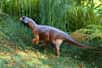 Un fossile particulièrement bien conservé de Psittacosaurus a permis de reconstituer la forme et l'aspect d'un dinosaure comme jamais. Surtout, cette reconstitution a permis de tester l'hypothèse de l'utilisation chez cette espèce de dinosaure du Crétacé d'une forme de camouflage très répandue aujourd'hui chez les animaux : la contre-illumination.