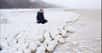 De la taille de boulets de canon, des sphères de glace se sont brutalement accumulées sur une plage de Sibérie. Ce phénomène spectaculaire s'expliquerait par l'effet du vent sur la glace fondante formée sur le rivage à marée haute. C'est la première fois que les habitants des alentours observent pareil évènement...