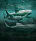 Vue d'artiste de Titanichthys. © Mark Witton