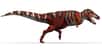 Si les ancêtres des dinosaures sont devenus bipèdes, c'est pour courir plus vite, selon une étude de biomécanique. Une queue puissante et des membres antérieurs légers : voilà un secret de la course reptilienne découvert bien avant le célèbre T. rex.