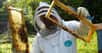 La combinaison dite « cosmonaute » figure comme l’un des équipements incontournables de l’apiculteur. Elle lui permet de se protéger contre d’éventuelles piqûres. Ce n’est ni par hasard ni par souci d'esthétisme, mais par souci d’efficacité, que les apiculteurs préfèrent s’habiller de blanc.