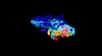 La reconstitution 3D de la boîte crânienne de l'ankylosaure. Le rose indique l'oreille interne, les nerfs sont surlignés en jaune, le rouge indique les artères principales, le bleu foncé trace les veines et les petites artères, tandis que le bleu clair met en valeur la fonte endocrânienne. © Biological Communications