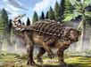 Un nouveau dinosaure australien appelé Kunbarrasaurus ieversi vient d'être identifié. De la taille d'un mouton, cet herbivore est apparenté au célèbre ankylosaure (Ankylosaurus) – le dinosaure en armure de 10 mètres de long avec une queue en forme de massue. Ses restes fossilisés sont les plus complets trouvés pour un dinosaure en Australie.