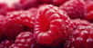 Le formiate d’éthyle est à l’origine du goût des framboises. © DGlodowska, Pixabay, CC0 Creative Commons