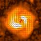 La galaxie spirale IC 342 est très proche de la Voie lactée. À tel point que, si sa lumière visible n'était pas fortement absorbée par les poussières de notre Galaxie, elle occuperait sur la voûte céleste une surface égale à celle de la Lune. Étudiés à l'aide de radiotélescopes, ses bras spiraux apparaissent étroitement corrélés à des champs magnétiques. Cela suggère qu'ils pourraient jouer un rôle important dans l'évolution et la structure des galaxies spirales.
