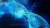 La double hélice de l'ADN est bien connue mais le support de nos gènes reste tout de même quelque peu mystérieux ! L’ADN est-il trop petit pour pouvoir être observé à l’œil nu ? Comment est-il replié dans chacune de nos cellules ? Peut-on colorier les chromosomes ? Dans ce diaporama photos, découvrez l’ADN sous toutes ses formes et comme vous ne l'aviez jamais vu !