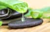L’aloe vera se cultive facilement en intérieur comme en extérieur s'il est à mi-ombre. Le gel riche en eau qui le compose lui permet de résister à la sécheresse mais n'attendez pas trop avant de l'arroser sinon la quantité de gel diminuera. © cloudberry77, Fotolia