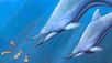 Ce cétacé préhistorique ressemblant à un dauphin muni de défenses est Nihohae matakoi, il attaque un groupe de calamars dont il aurait vraisemblablement pu se nourrir. © Daniel Verhelst