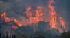 De graves incendies ravagent la Grèce en ce moment. © ververidis, Adobe Stock