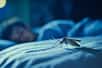 Huit cas de chikungunya ont été enregistrés depuis fin mai. Une première dans l’hexagone. © Mimi, Adobe Stock (image générée avec IA)  