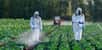 « Nous venons de perdre une décennie entière pour protéger notre santé et notre environnement », annonce France Nature Environnement. L'usage des pesticides a en effet explosé dans notre pays entre 2013 et 2023 d'après les données d'un nouveau rapport de la commission parlementaire.