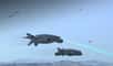 Après une moto volante, la société Mayman Aerospace vient de dévoiler une variante militaire avec un drone appelé Razor. Il peut transporter du fret, des missiles et même se transformer en drone suicide.