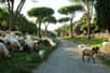 Construite sur plus de 540 kilomètres, la Via Appia est devenue un symbole de l'ingénierie romaine. © Claudio, Adobe Stock