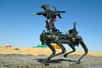 Encore un robot-chien armé d’un fusil d’assaut. Testé au Moyen-Orient par l’armée américaine dans le cadre d'un exercice, il pourrait être exploité en tant qu’arme défensive lors d'une attaque de drones.