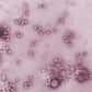 En s'insérant dans l'ADN des cellules, un virus, AAV2, serait impliqué dans des cancers du foie qui ne sont pas liés à une cirrhose. C'est ce que suggère une étude réalisée par une équipe française. Or, considéré comme non pathogène, ce virus est utilisé comme vecteur en thérapie génique.
