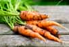 Les carottes, qu'elles soient orange, jaunes, rouges ou violettes, et qu'elles se présentent sous forme ronde, demi-longue ou longue, sont des incontournables dans toute assiette équilibrée. Leur chair sucrée les rend appréciées à toutes les étapes d'un repas, faisant des carottes un légume polyvalent et incontournable toute l'année.