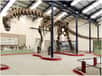 Les dinosaures sauropodes comptaient dans leur groupe les plus grands animaux terrestres que la Terre a connu, comme l’argentinosaure. Cependant, cet herbivore pouvait-il vraiment se déplacer avec le poids que diverses estimations lui donnent ? Oui, si l’on en croit des vidéos le montrant en train de marcher…