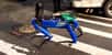 La police de New York avait prévu d’évaluer le robot Spot de Boston Dynamics jusqu’en août dans l’optique de remplacer des robots actuellement utilisés pour le déminage et les prises d’otages. Toutefois, devant l’ampleur des critiques, le NYPD a dû se résoudre à se passer de ses services.