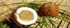 Comme son nom l’indique, l’huile de noix de coco est une huile végétale produite à partir de la pulpe de noix de coco. Elle peut être utilisée dans les produits cosmétiques ou bien dans les plats culinaires. Quels sont ses bienfaits et comment l’utiliser ?